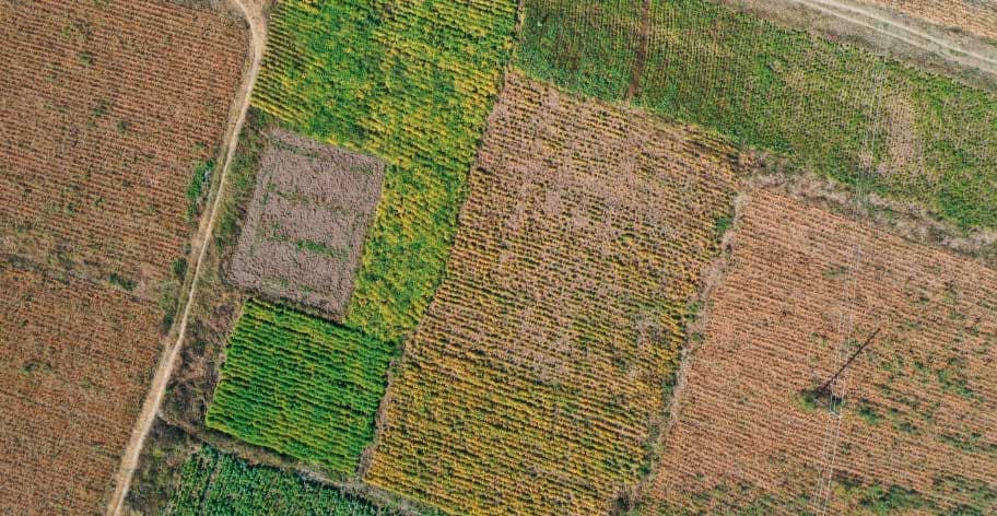 Agriculture